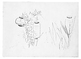 John Singer Sargent Lily Study For Carnation Lily Lily Rose